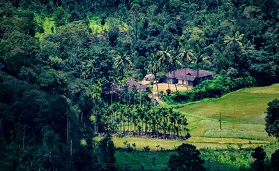 In Kodagu’s sacred groves, an ancient ‘social fence’ of faith is struggling to hold