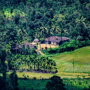 Kodagu-Coorg-DeepaJoshi-thepunchmagazine-top.jpg